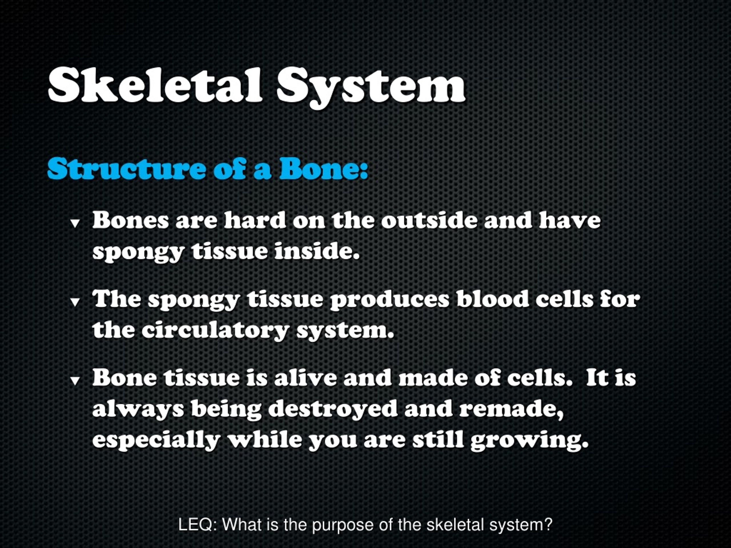 PPT - Skeletal System PowerPoint Presentation, free download - ID:928712