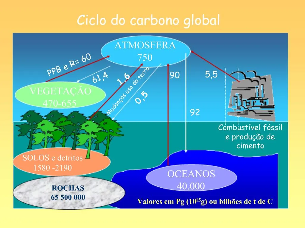 PPT - Ciclos Biogeoqu Micos PowerPoint Presentation, Free Download - ID ...