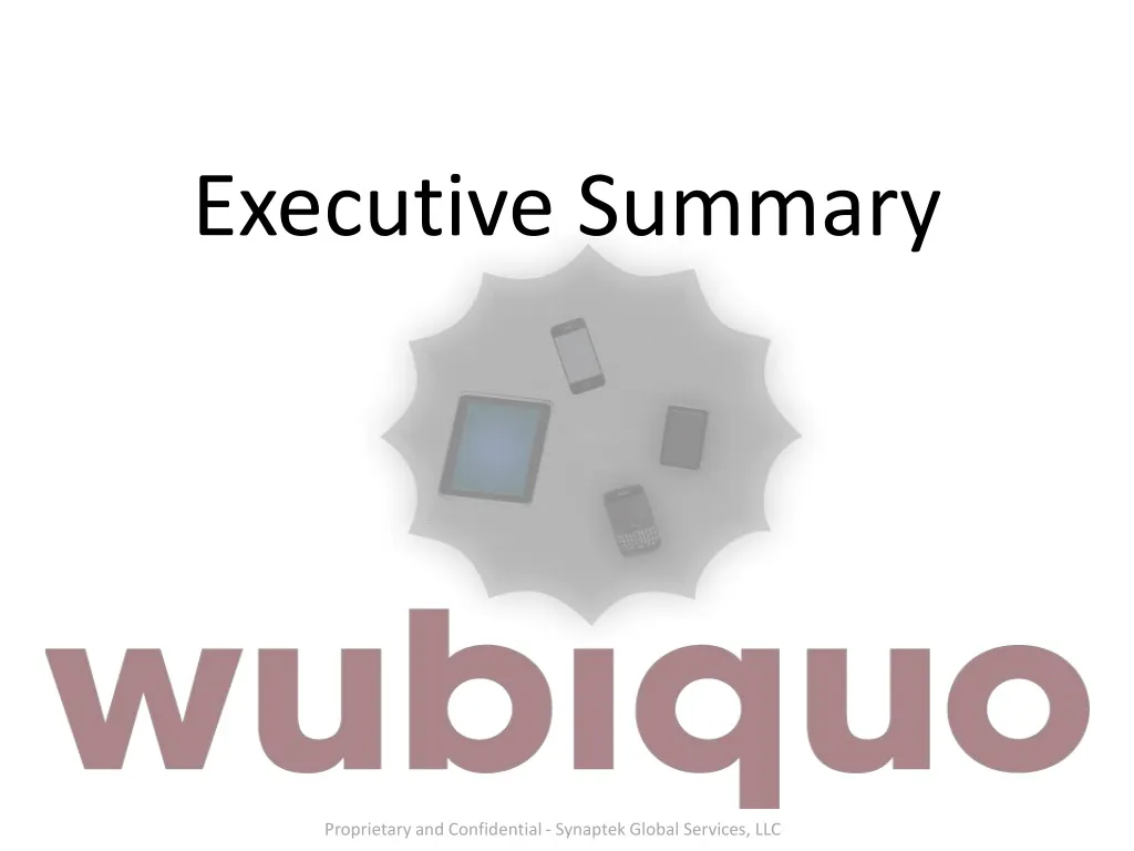 executive summary n.