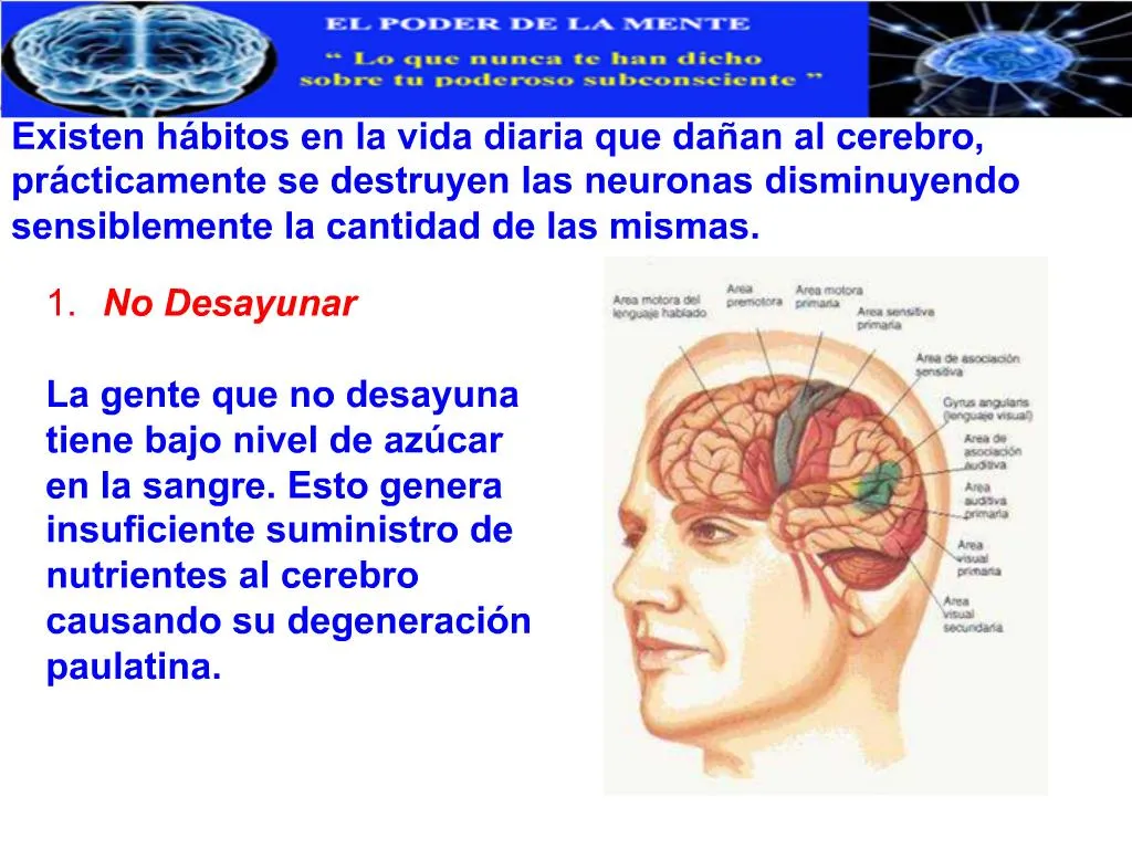 Ppt Existen H Bitos En La Vida Diaria Que Da An Al Cerebro Pr Cticamente Se Destruyen Las