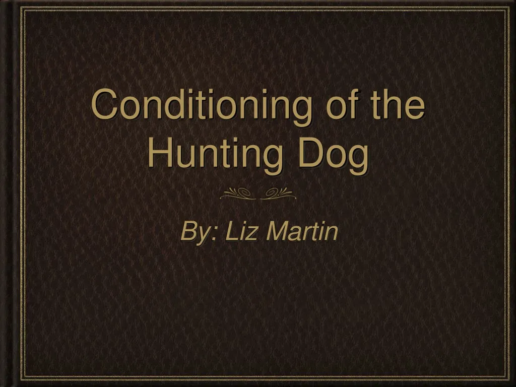 conditioning of the hunting dog n.