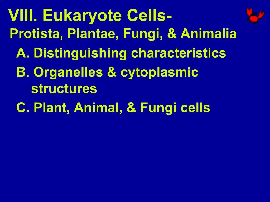 PPT A Distinguishing Characteristics B Organelles Cytoplasmic 