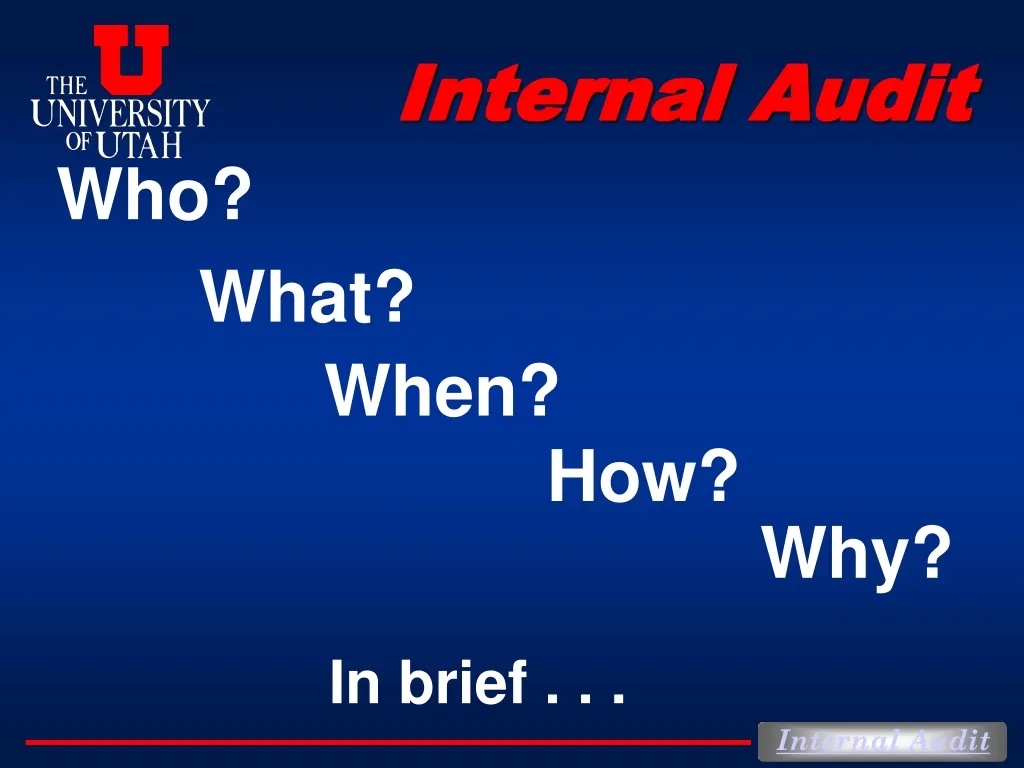 internal audit n.