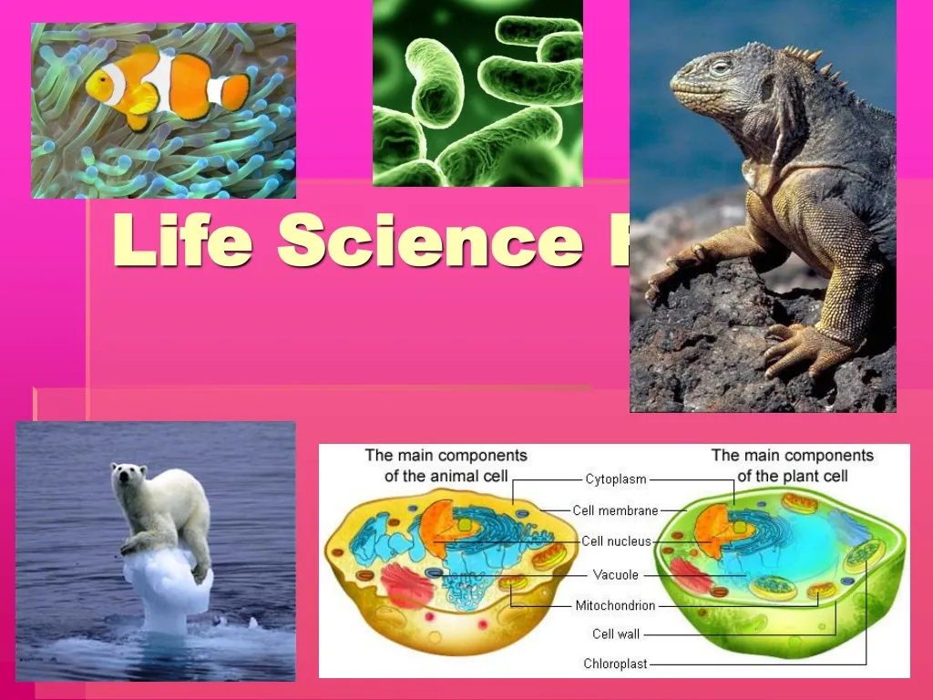 PPT - Life Science Review PowerPoint Presentation, free download - ID