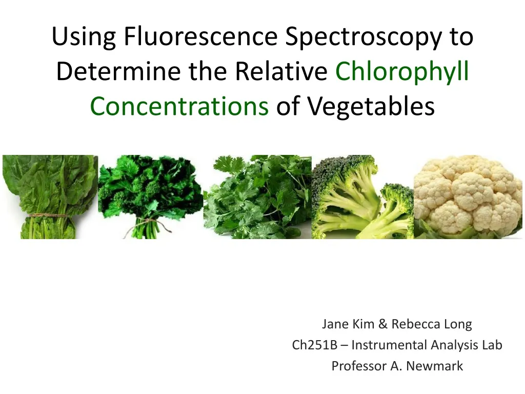 using fluorescence spectroscopy to determine the relative chlorophyll concentrations of vegetables n.