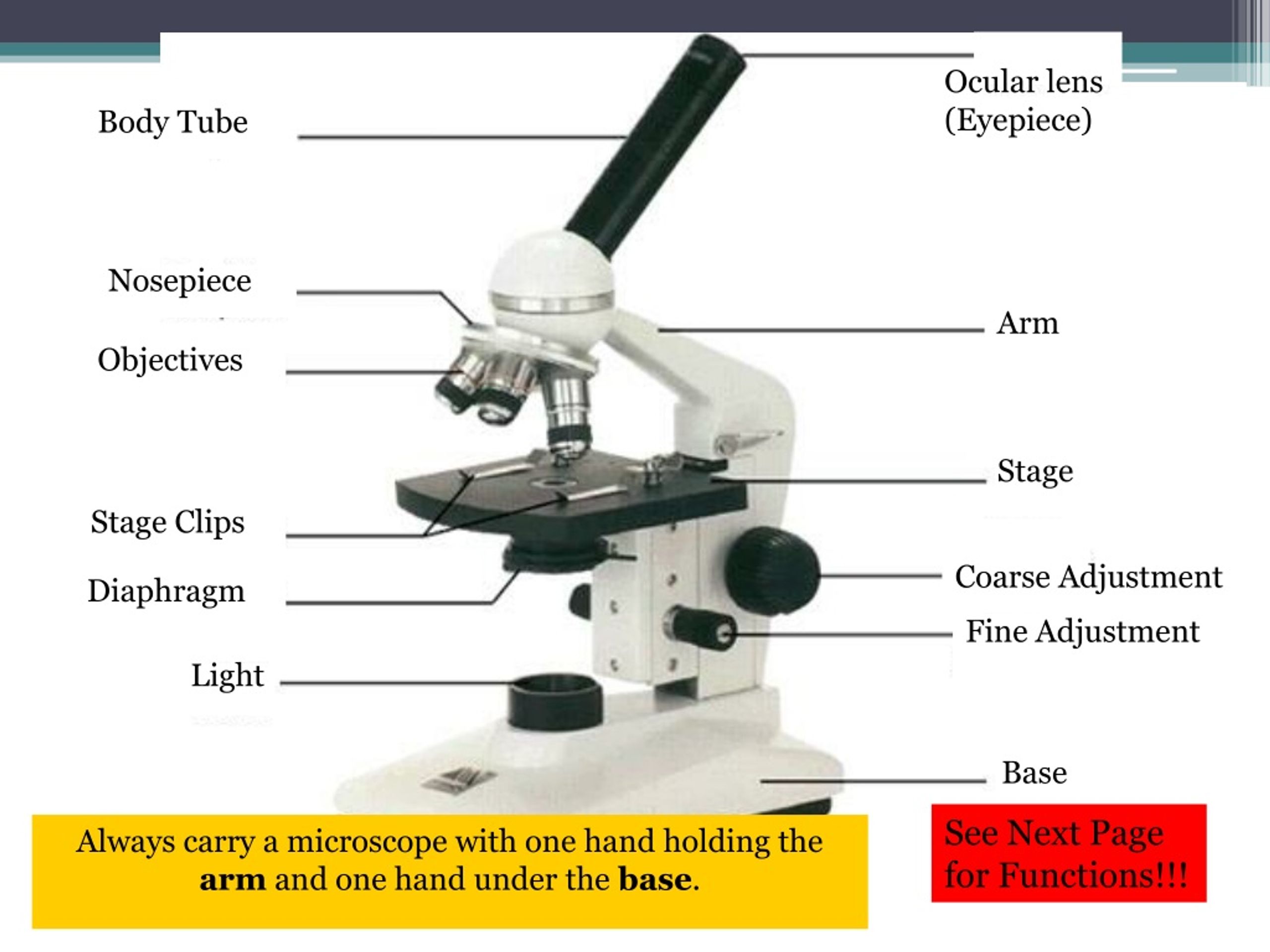 PPT - Tools of BioNerds PowerPoint Presentation, free download - ID:955747