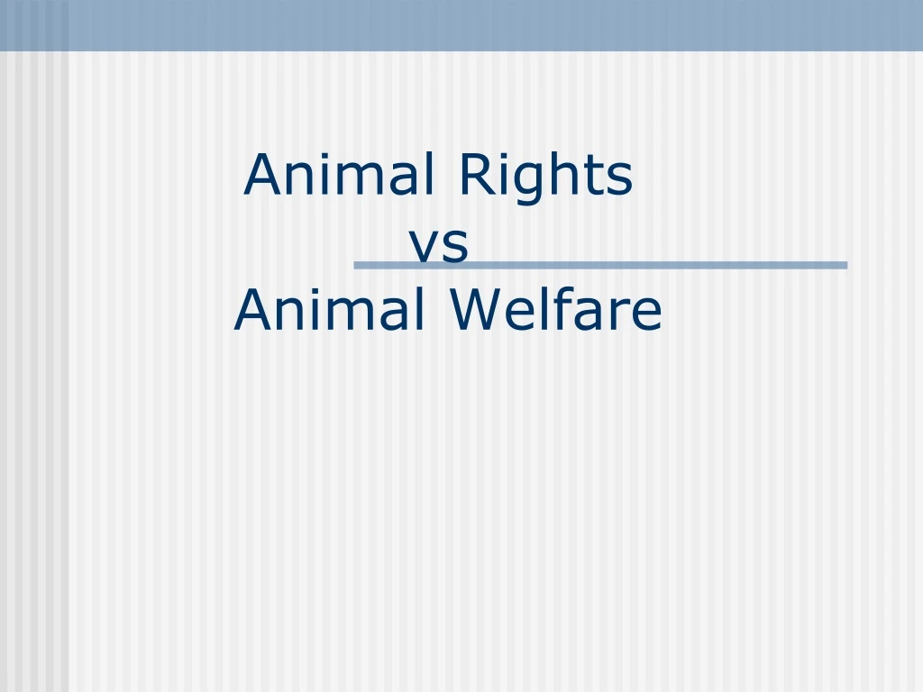 animal rights vs animal welfare n.
