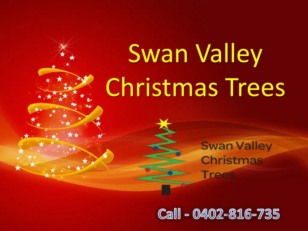 swan valley christmas trees n.