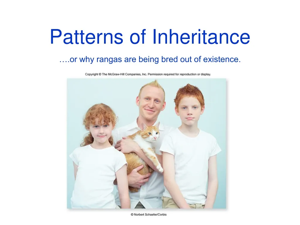 PPT - Patterns Of Inheritance PowerPoint Presentation, Free Download ...