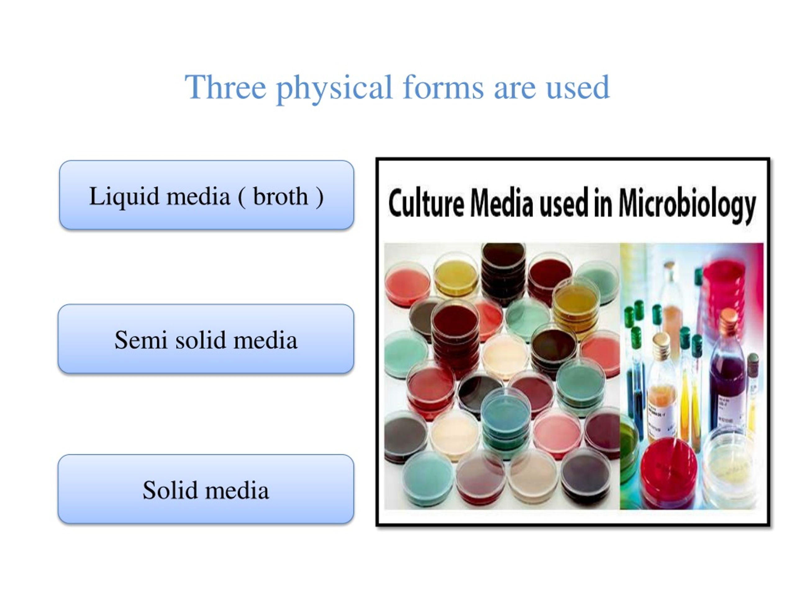 PPT Culture media Pure culture techniques & Bacterial colony