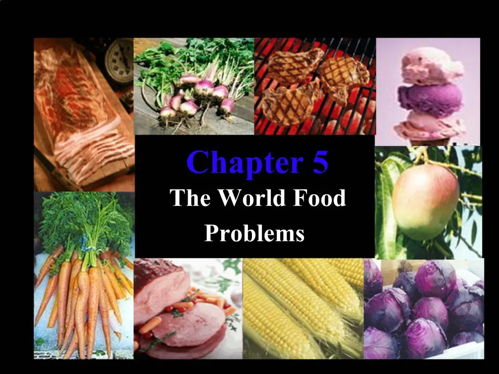 essay on world food problems