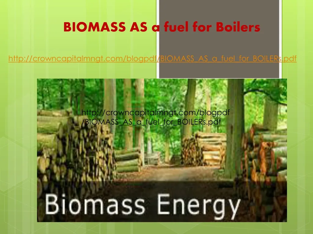 biomass as a fuel for boilers n.