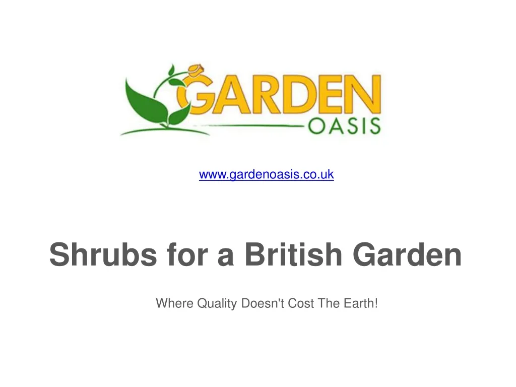 shrubs for a british garden n.