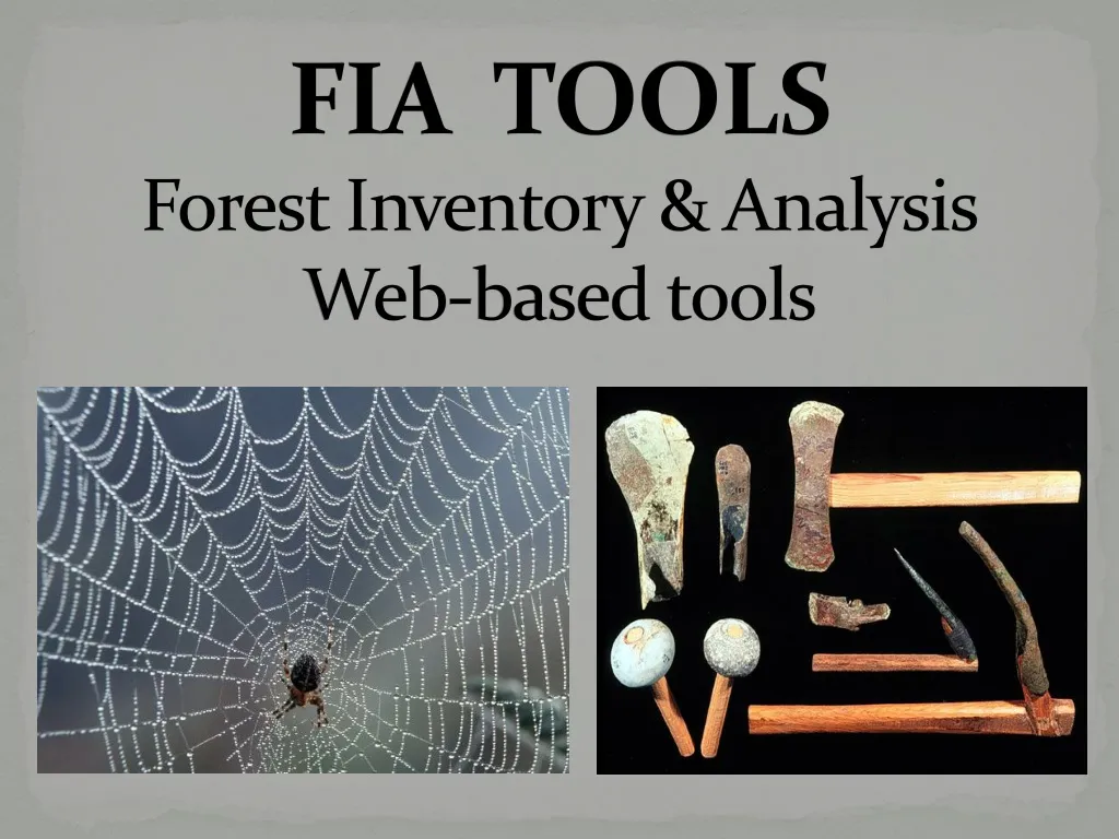 fia tools forest inventory analysis web based tools n.