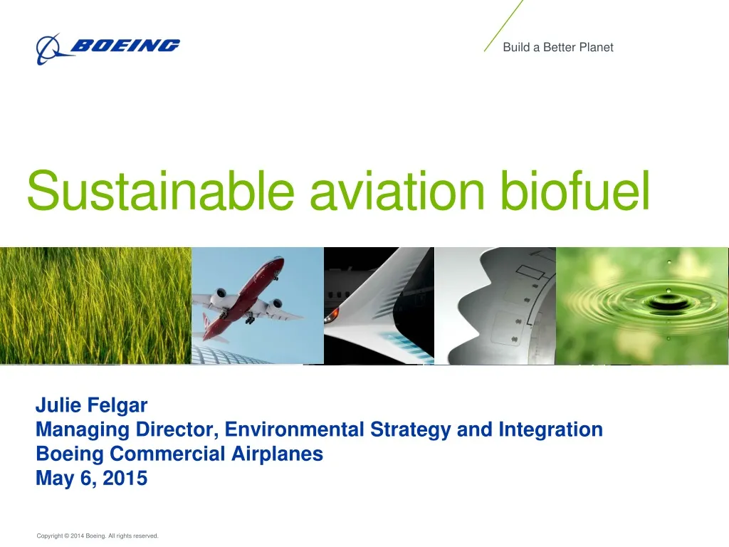 sustainable aviation biofuel n.