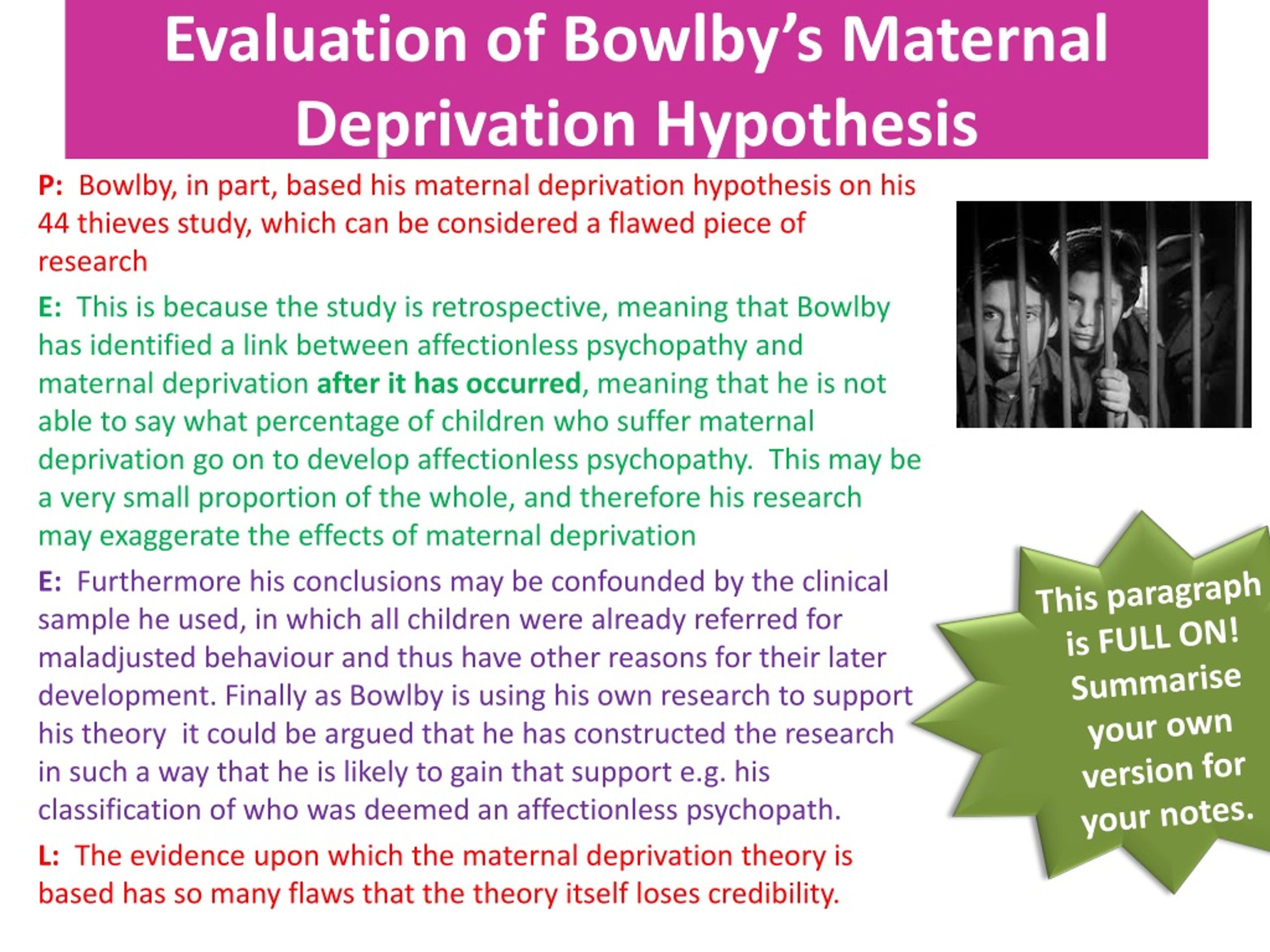 maternal deprivation theory